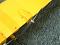 3382   Yellow Bee